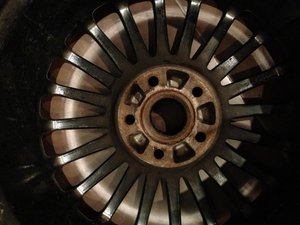 IMG_0435.jpg