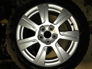 IMG_1195[1].jpg