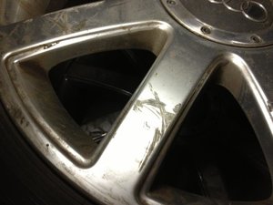 IMG_1423.jpg