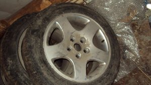 DSC01387.jpg