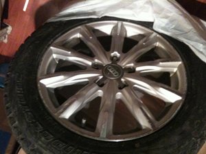 IMG_1531.jpg