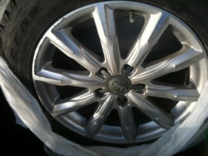 IMG_1529.jpg