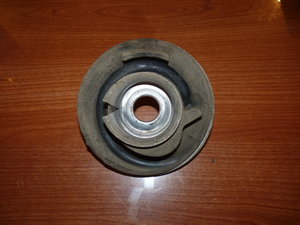 P1020141.JPG