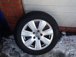 IMG_4646.jpg