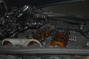 DSC_0008.jpg