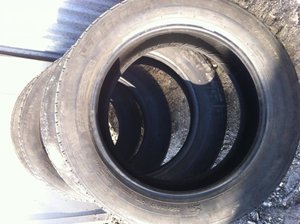 IMG_0579.jpg