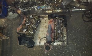 20130418_130259.jpg