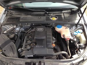 IMG_4278.jpg