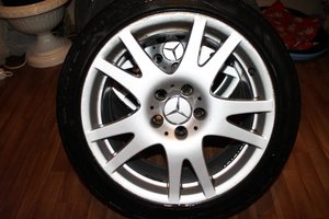 IMG_0507.jpg