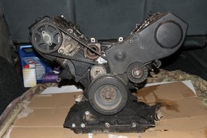 IMG_0143.jpg
