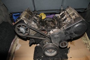 IMG_0146.jpg