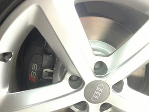 IMG_2542.jpg