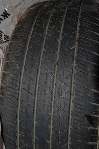 DSC_13951.jpg