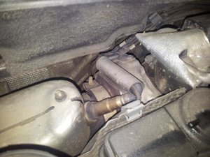 2013-04-23 10.04.45.jpg