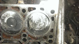 IMAG0506.jpg