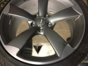 IMG_2352[1].jpg