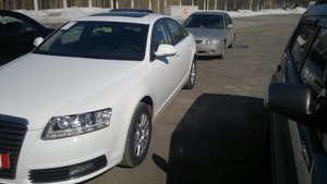 предложение 294.jpg