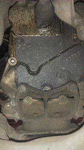 IMAG0338.jpg