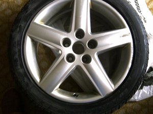 IMG-20130505-00294.jpg