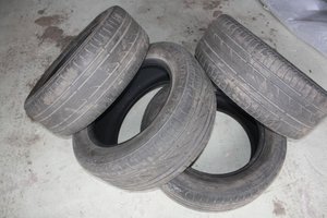 IMG_6877.jpg