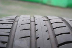 IMG_3062.jpg