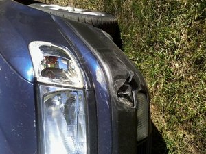 2013-05-06 16.15.41.jpg