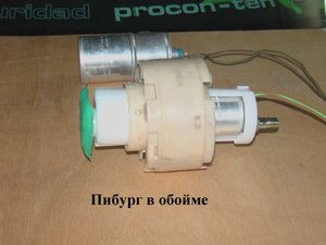 Пибург в обойме.jpg