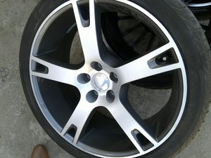 IMG371.jpg