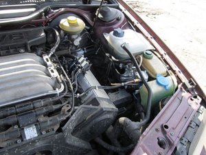 IMG_1570.jpg