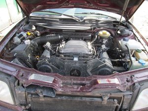 IMG_1572.jpg