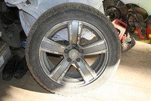 IMG_6886.jpg
