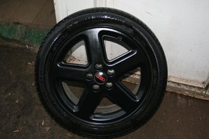 IMG_5379.jpg