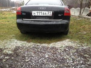 IMG_0026.jpg