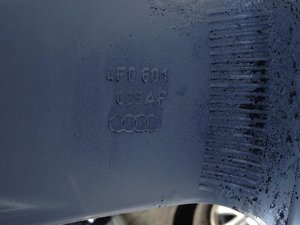 IMG_0805.jpg