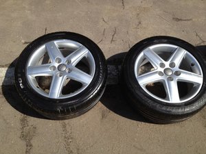 IMG_0795.jpg