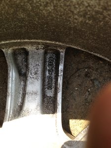 Photo4.jpg