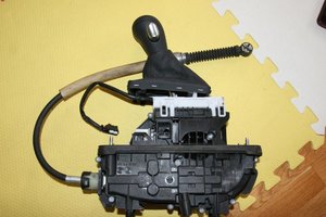 IMG_6385.jpg