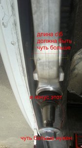 1111.jpg