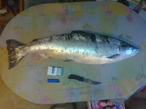 28052013609.jpg