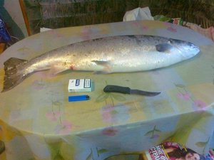 28052013610.jpg