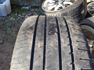 IMG_2206.jpg