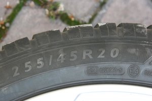 IMG_6499.jpg