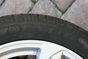 IMG_6496.jpg