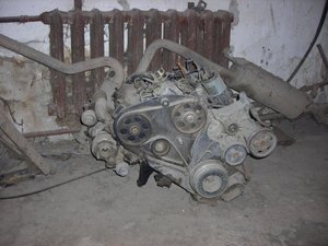 DSCN1717.jpg
