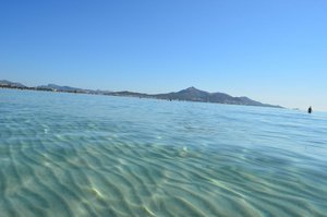 DSC_0044.jpg