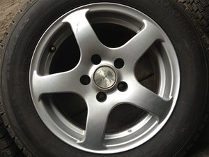 IMG_3981.jpg