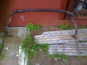 IMG_1120[1].jpg