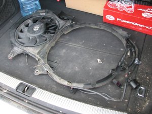 IMG_3000.jpg