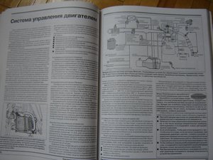 DSC01803.jpg
