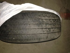IMG_0043.jpg